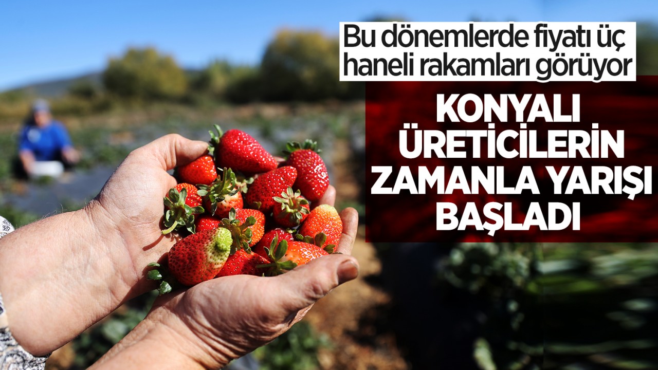 Bu dönemlerde fiyatı üç haneli rakamları görüyor! Konyalı üreticilerin zamanla yarışı başladı