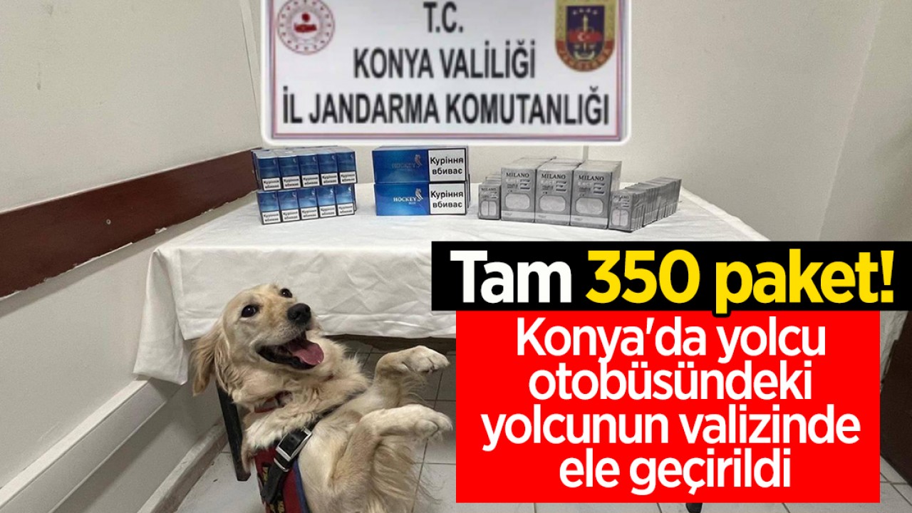 Tam 350 paket! Konya'da yolcu otobüsündeki yolcunun valizinde ele geçirildi