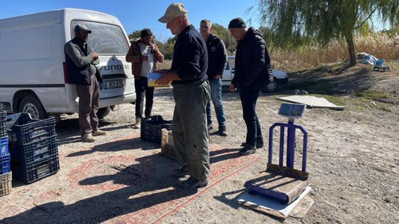 Beyşehir gölünde boy yasağına uymayanlara ceza yazıldı