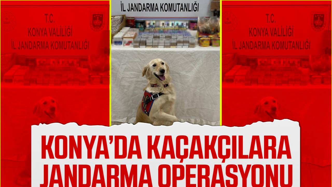 Konya’da kaçakçılara jandarma operasyonu