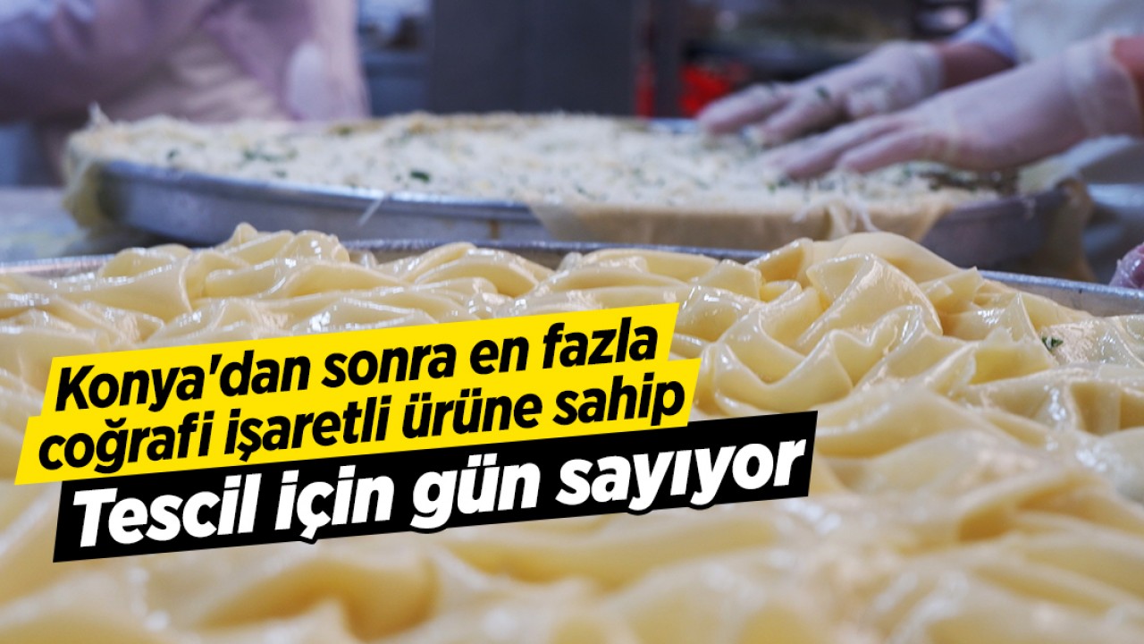 Konya'dan sonra en fazla coğrafi işaretli ürüne sahip! Tescil için gün sayıyor