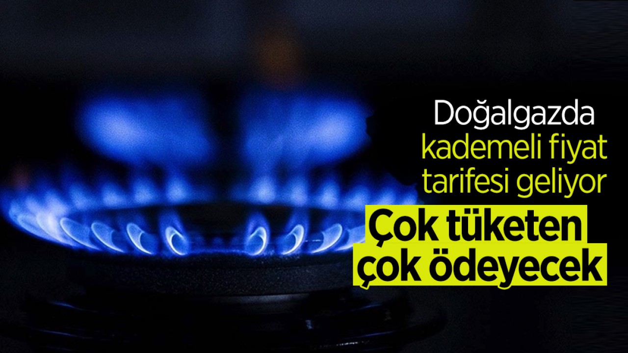 Doğalgazda kademeli fiyat tarifesi geliyor! Çok tüketen çok ödeyecek