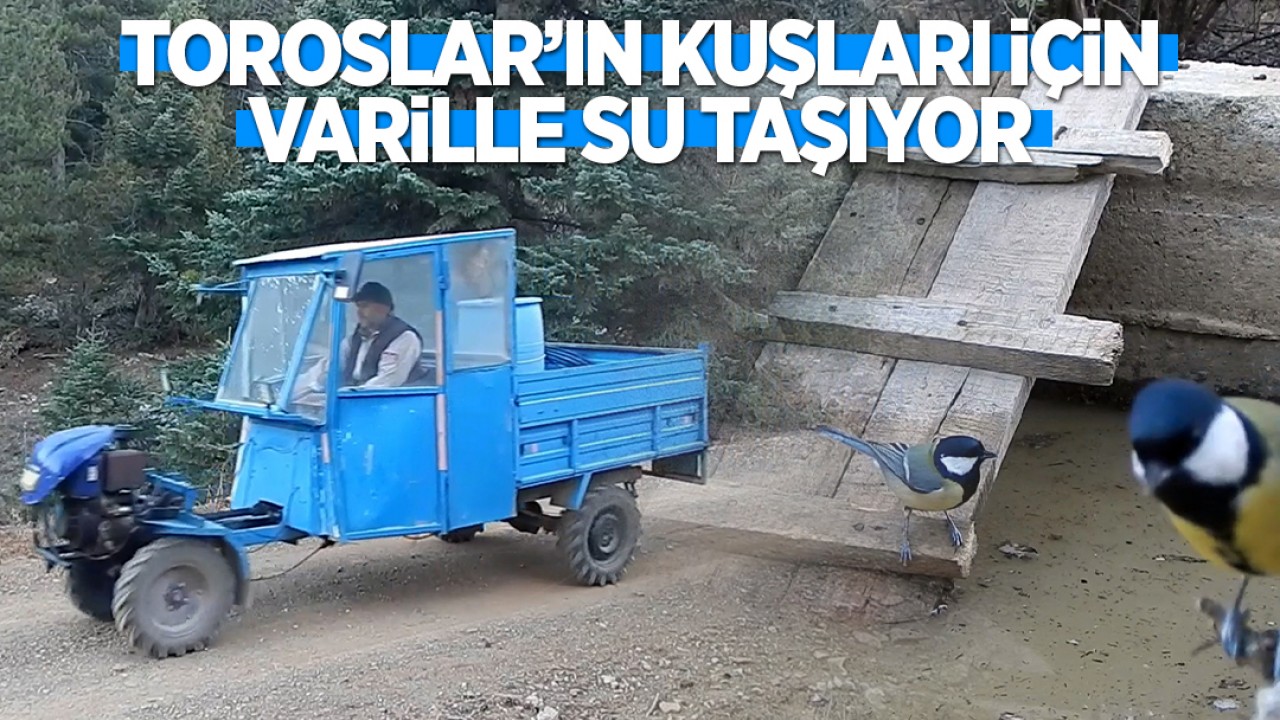 Toroslar'ın kuşları için varille su taşıyor