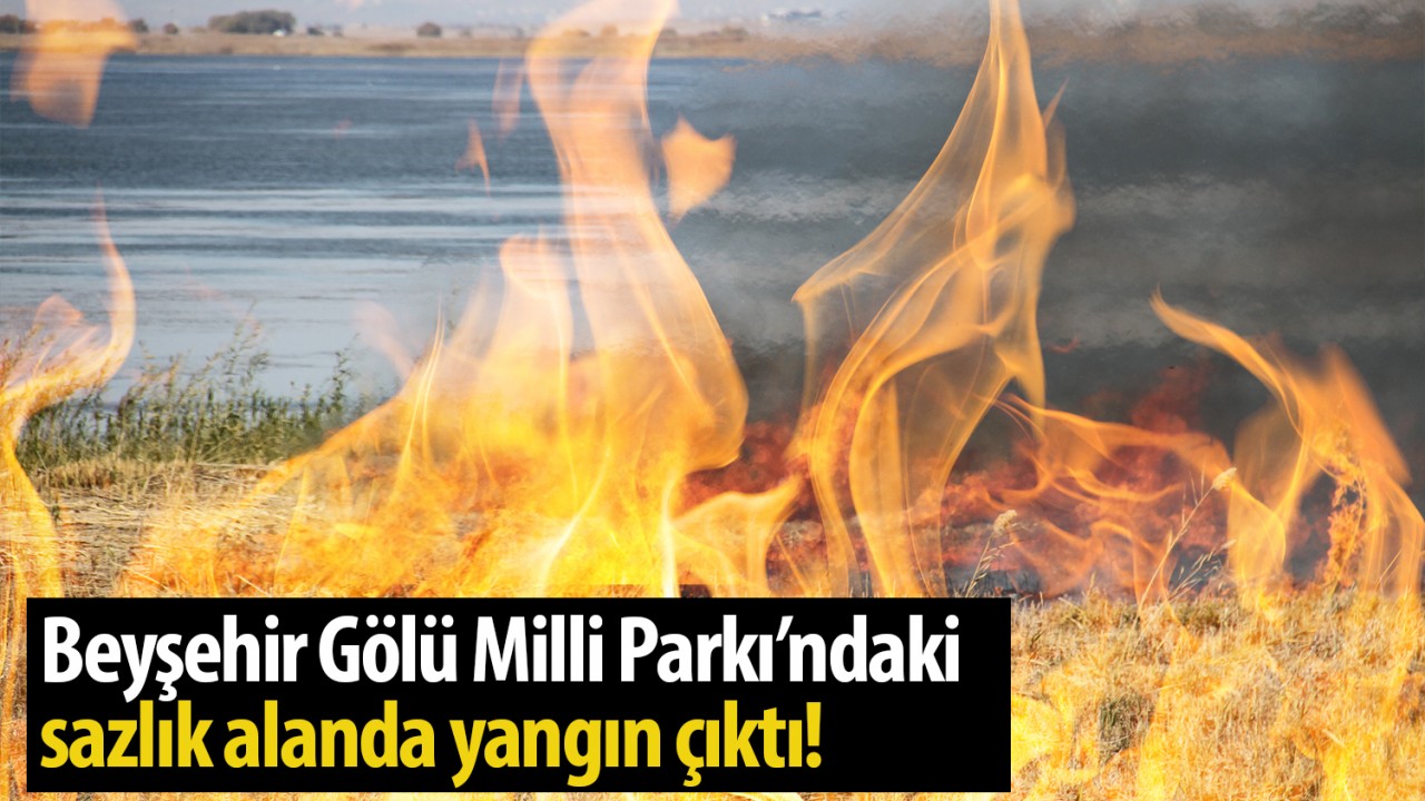 Beyşehir Gölü Milli Parkı'ndaki sazlık alanda yangın çıktı