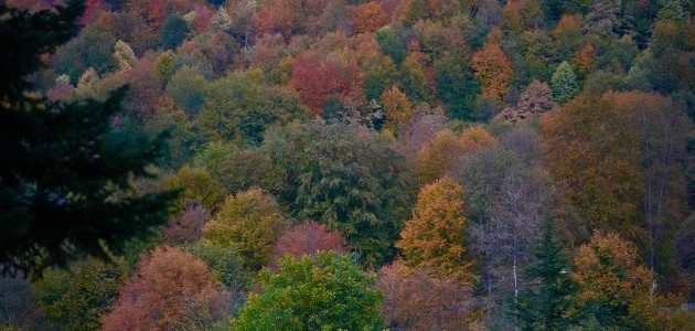 Güzeldere Şelalesi Tabiat Parkı’nda sonbahar