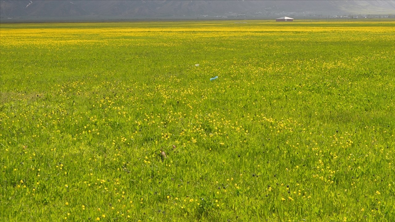 Türkiye’de 28 ova “büyük ova koruma alanı“ olarak belirlendi