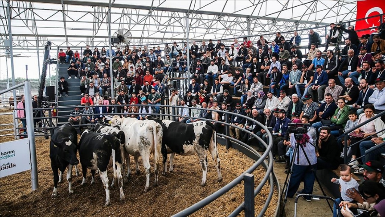 “Dost Mezat“ ile genç ve kadın üreticilere nakit yem desteği