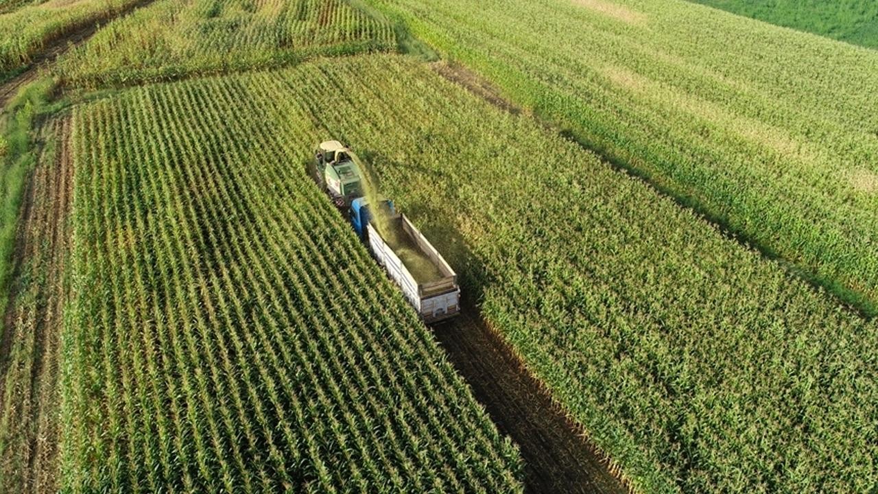 Tarımsal girdi fiyat endeksi eylülde arttı