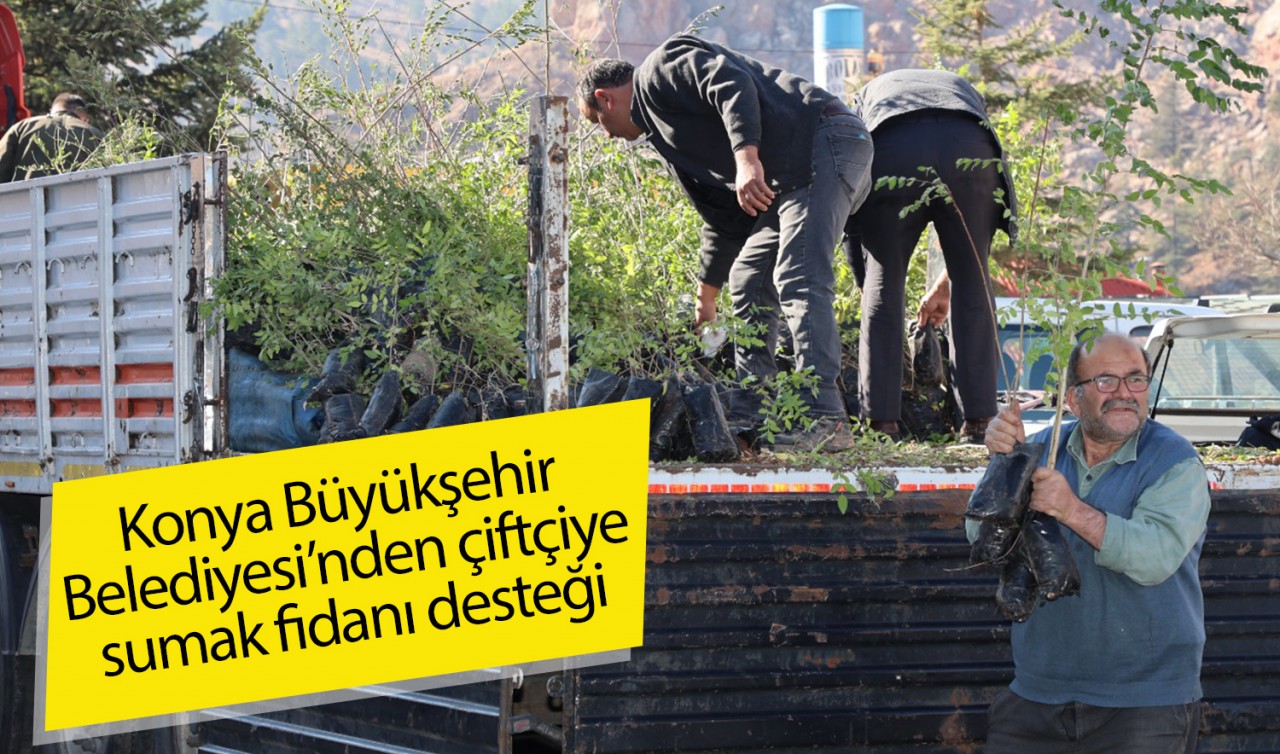 Konya Büyükşehir Belediyesi’nden çiftçiye sumak fidanı desteği