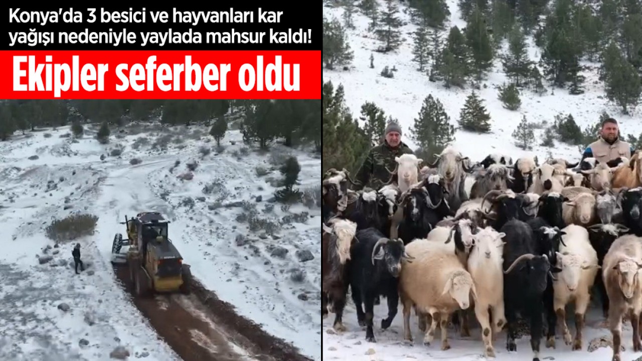 Konya'da 3 besici ve hayvanları kar yağışı nedeniyle yaylada mahsur kaldı! Ekipler seferber oldu