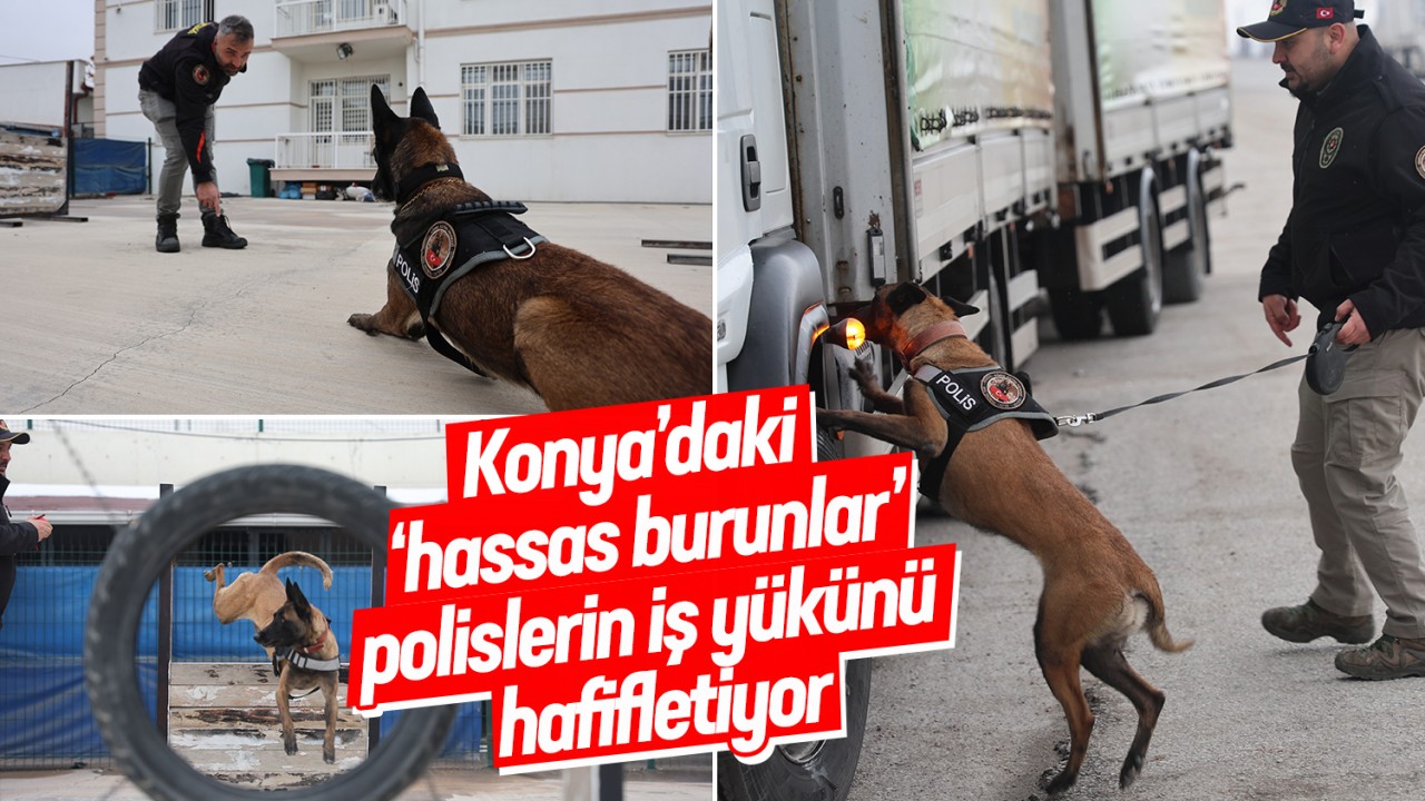 Konya’daki ‘hassas burunlar’ polislerin iş yükünü hafifletiyor