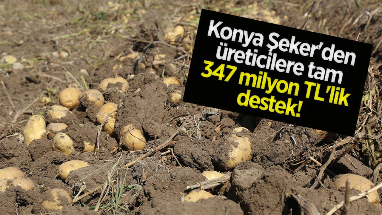 Konya Şeker'den üreticilere tam 347 milyon TL'lik destek! 