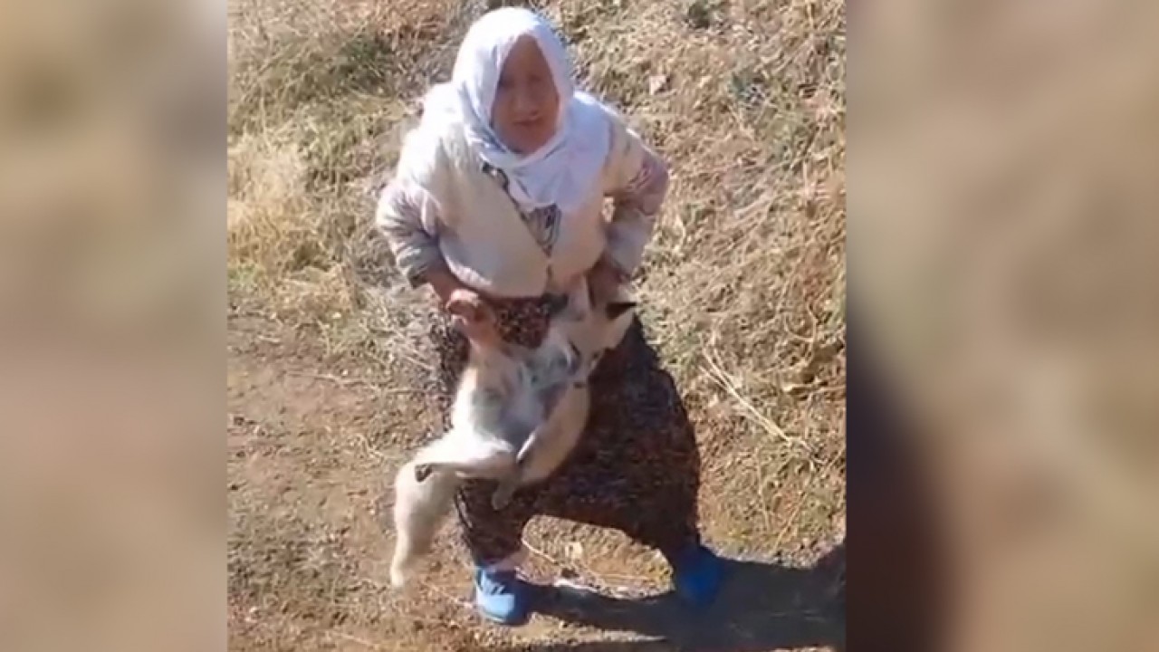 Tavuklarını alıp kaçan tilkiyi elleriyle yakaladı