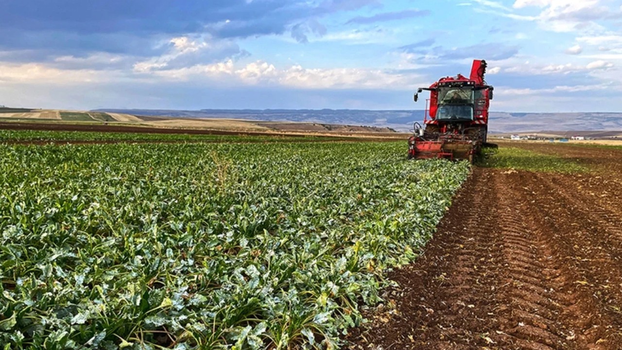 Çiftçilere yılbaşı öncesi ödeme: Hesapları kontrol edin