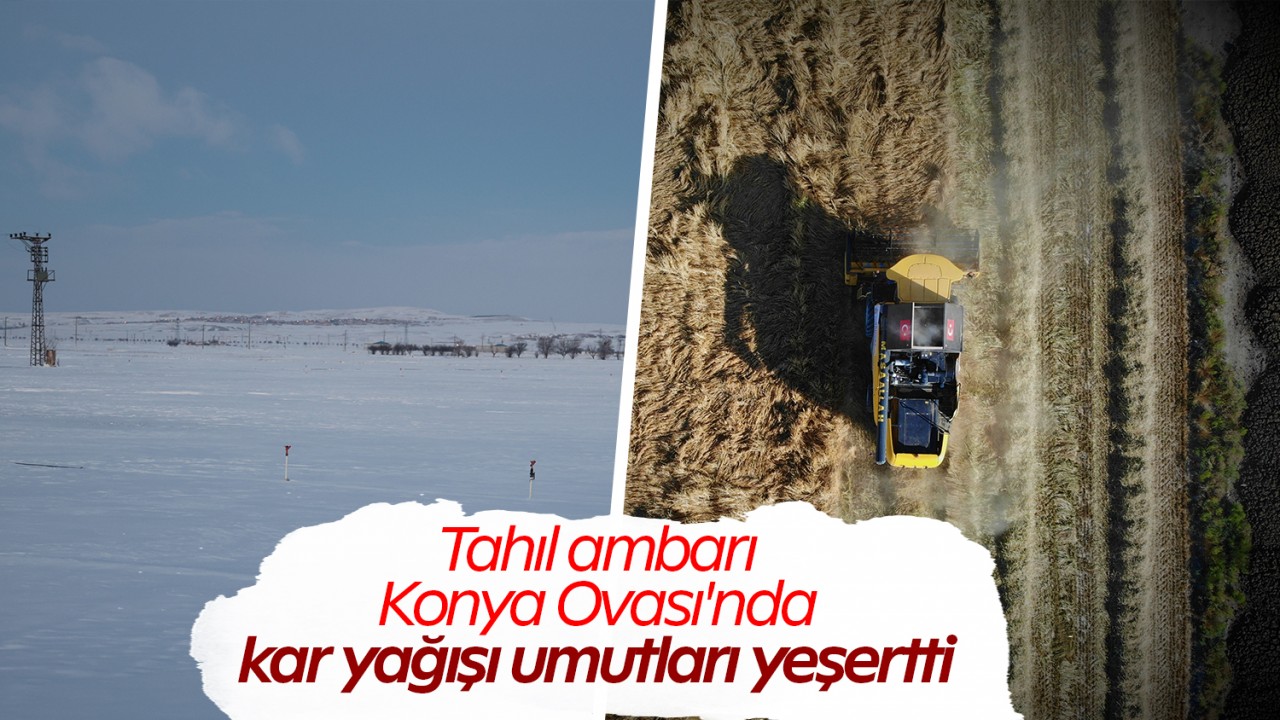 Tahıl ambarı Konya Ovası'nda kar yağışı umutları yeşertti