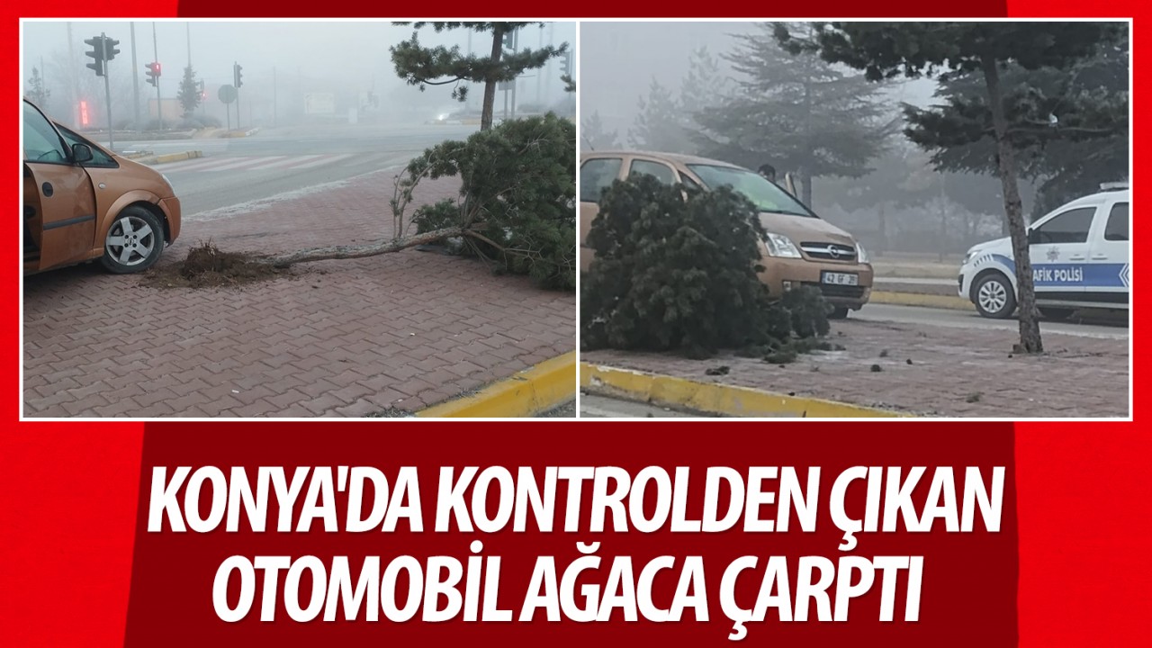 Konya’da kontrolden çıkan otomobil ağaca çarptı