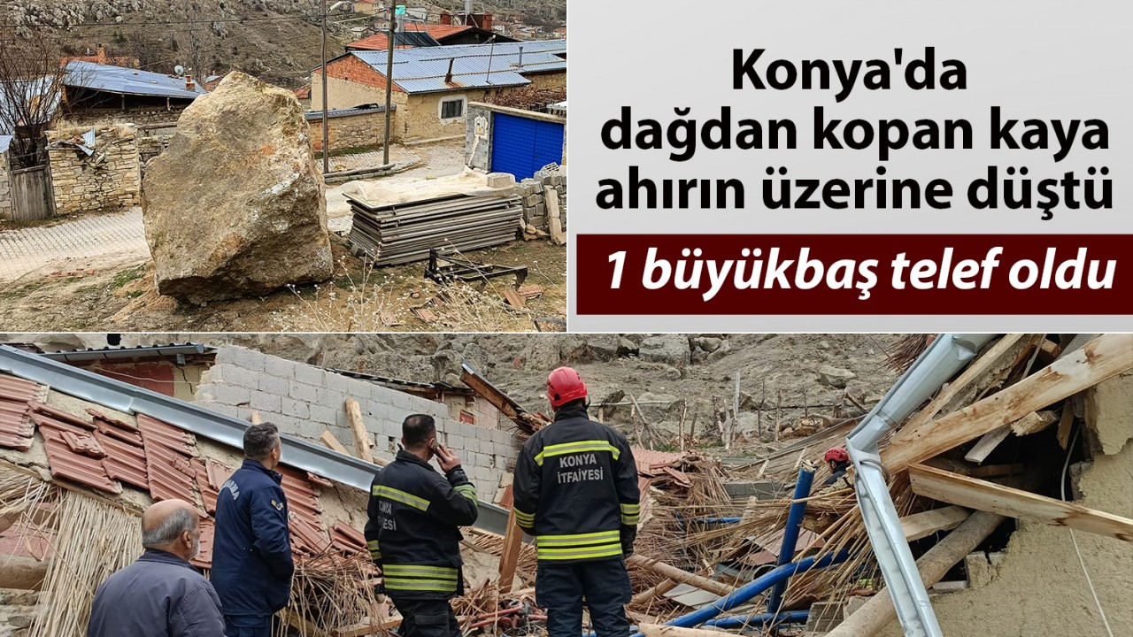 Konya’da dağdan kopan kaya ahırın üzerine düştü: 1 büyükbaş telef oldu