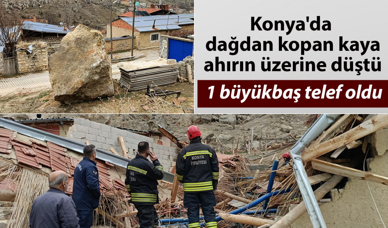 Konya'da dağdan kopan kaya ahırın üzerine düştü: 1 büyükbaş telef oldu