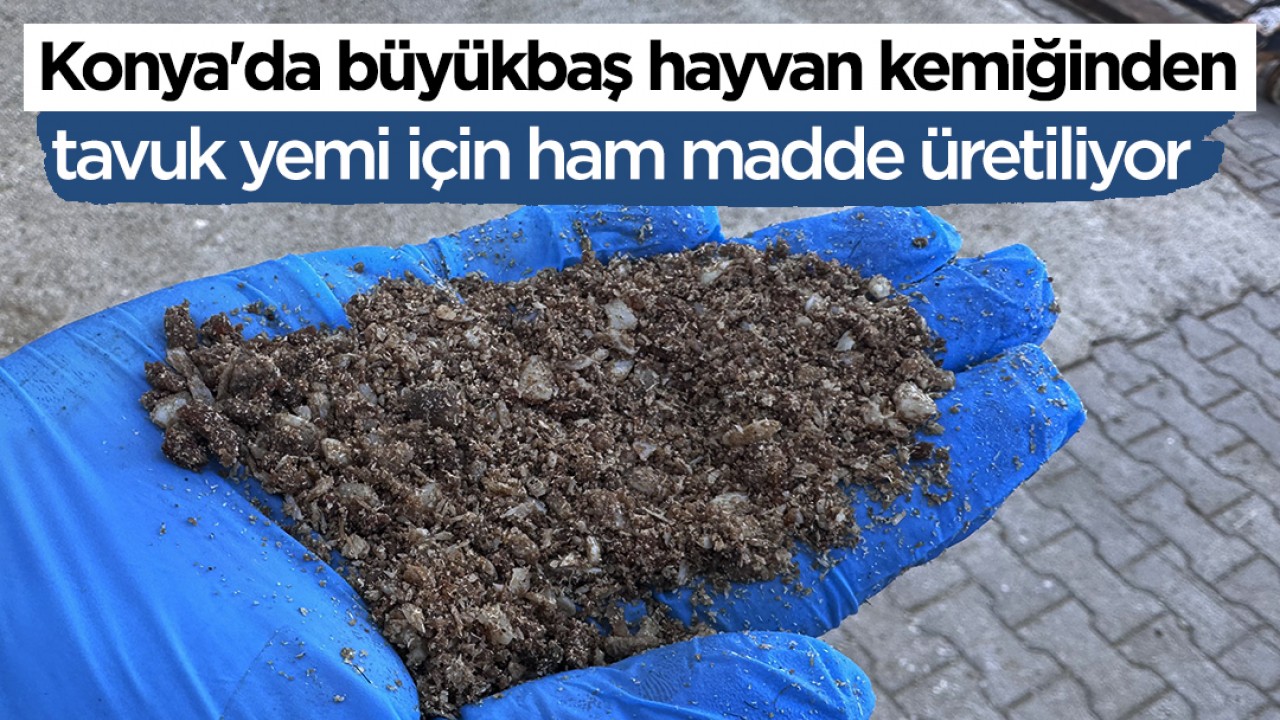 Konya'da büyükbaş hayvan kemiğinden tavuk yemi için ham madde üretiliyor