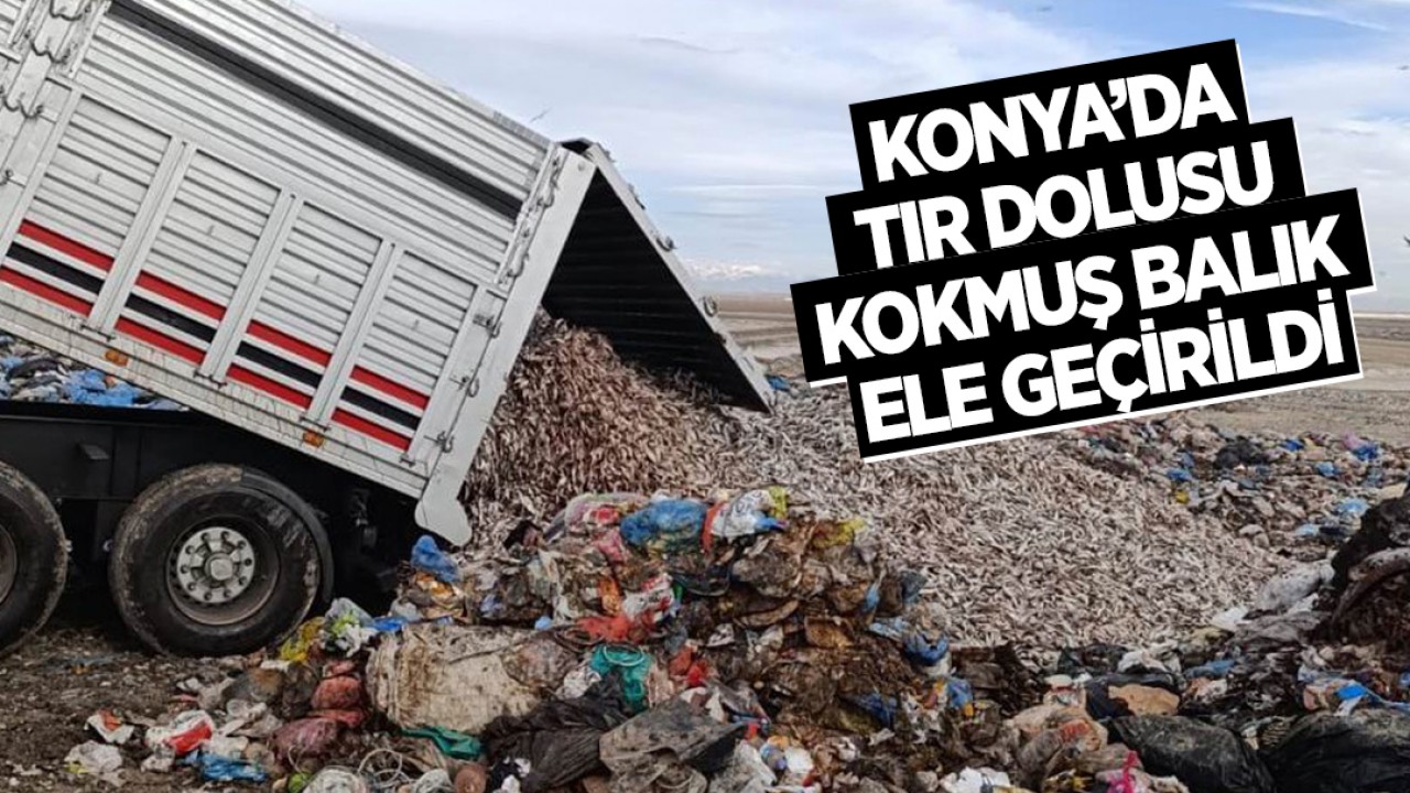 Konya’da TIR dolusu kokmuş balık ele geçirildi