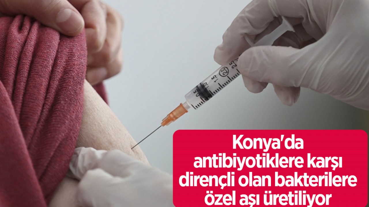 Konya’da antibiyotiklere karşı dirençli olan bakterilere özel aşı üretiliyor