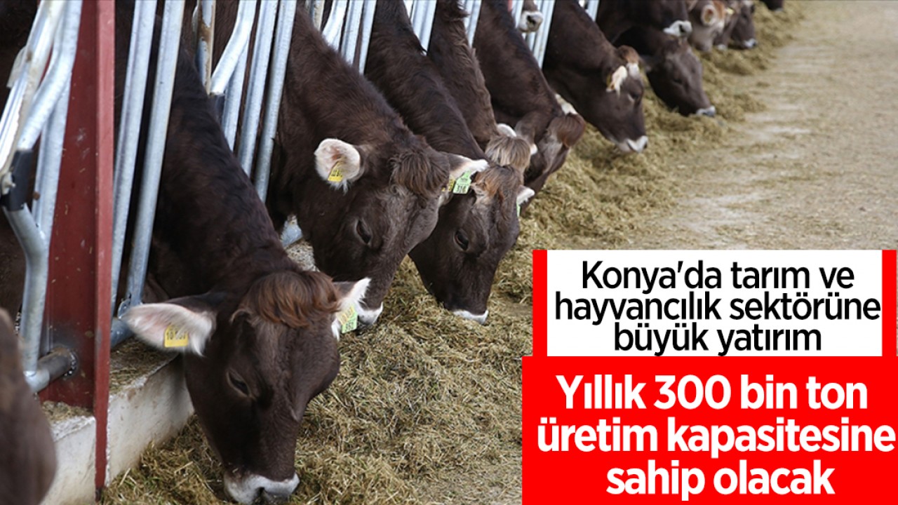 Konya’da tarım ve hayvancılık sektörüne büyük yatırım: Yıllık 300 bin ton üretim kapasitesine sahip olacak