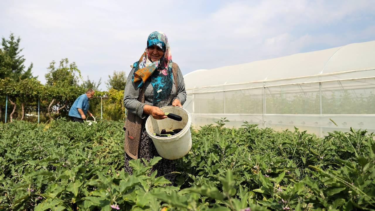 TARSİM’den çiftçilerin maliyetine destek