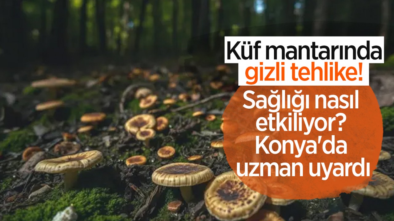 Küf mantarında gizli tehlike! Sağlığı nasıl etkiliyor? Konya’da uzman uyardı