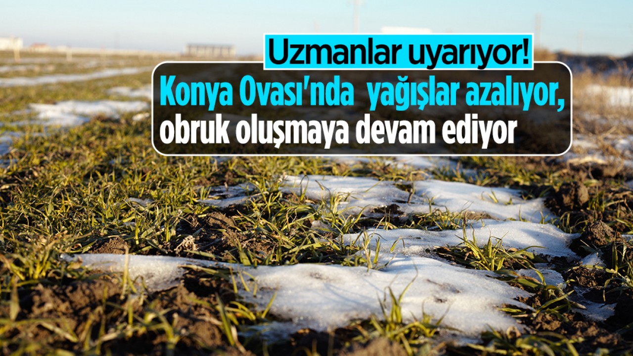 Uzmanlar uyarıyor! Konya Ovası'nda yağışlar azalıyor, obruk oluşmaya devam ediyor... 