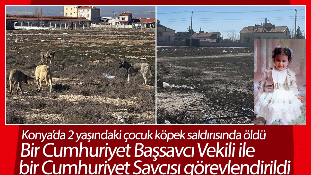 Konya’da 2 yaşındaki Rana'nın ölümüyle ilgili Bir Cumhuriyet Başsavcı Vekili ile Cumhuriyet Savcısı görevlendirildi