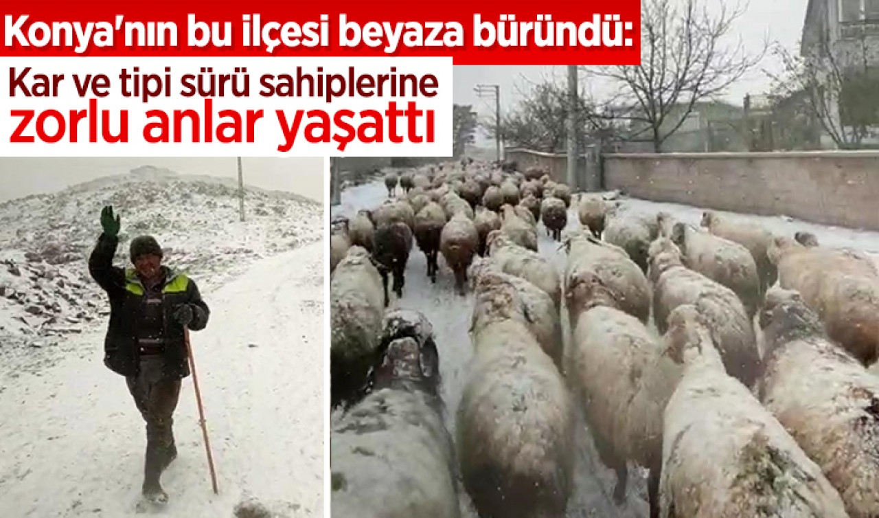 Konya'nın bu ilçesi beyaza büründü: Kar ve tipi sürü sahiplerine zorlu anlar yaşattı