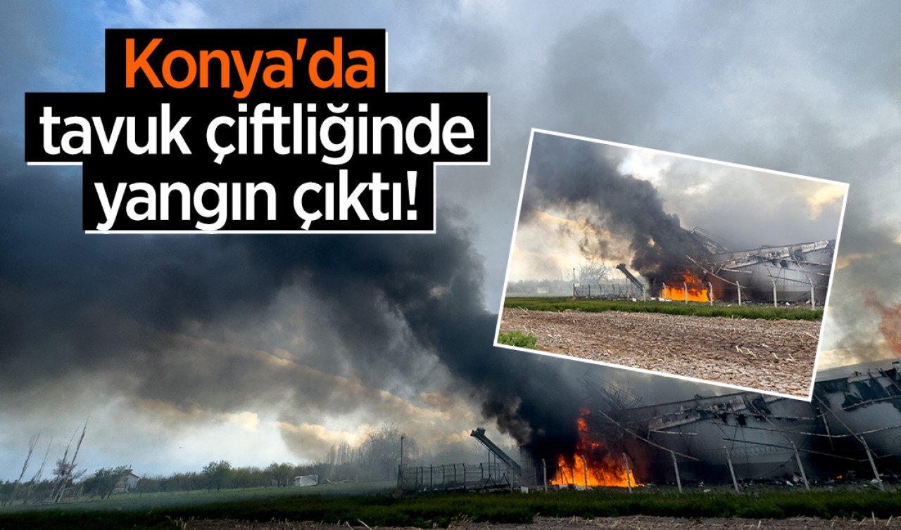 Konya'da tavuk çiftliğinde yangın çıktı! 